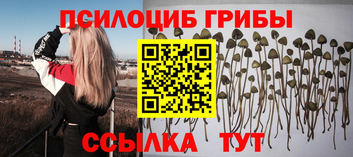 Вологда  Галлюциногенные грибы Psilocybe  Галлюциногенные грибы Cubensis  Вход с VPN 